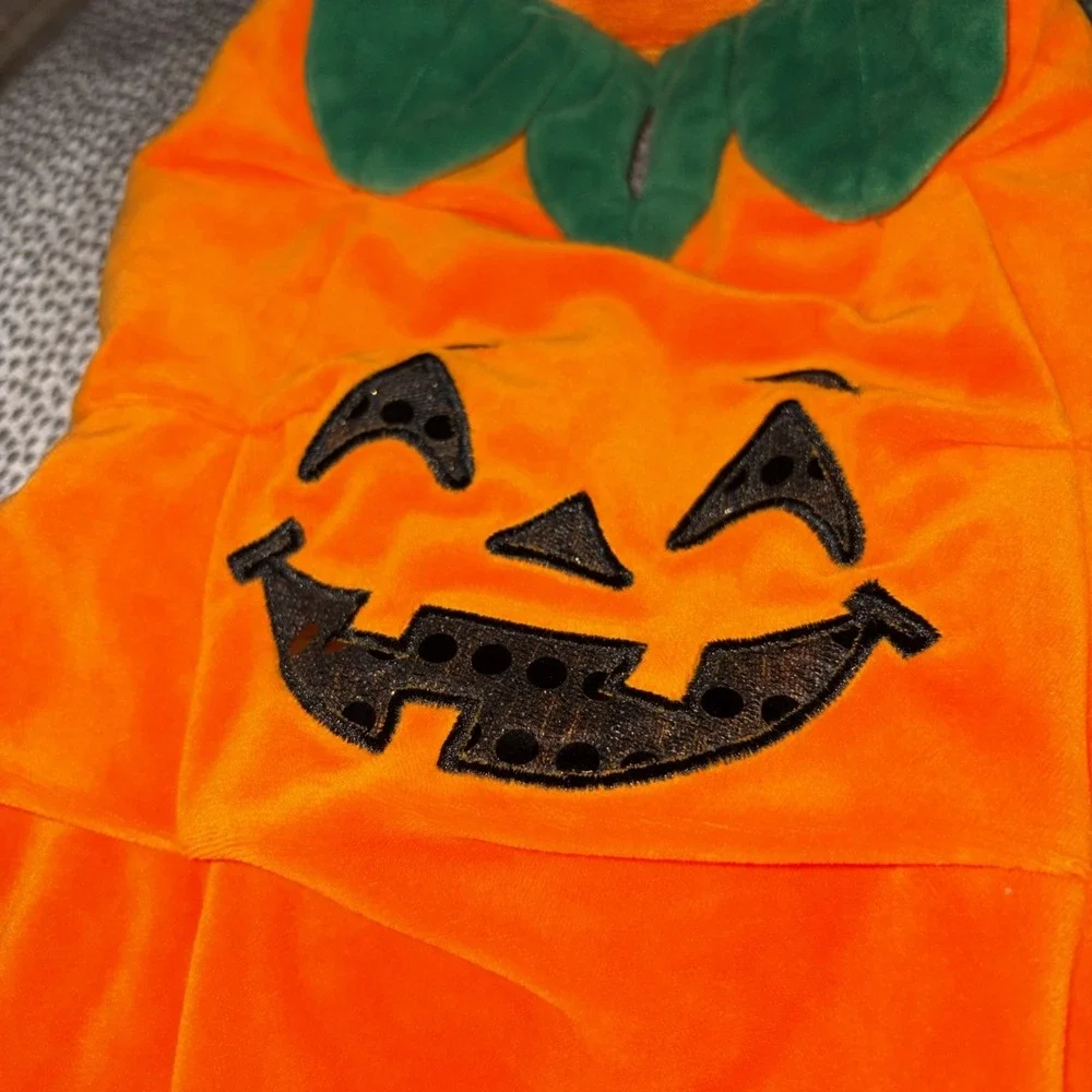 Pet Dog Pumpkin Face Halloween Costume Orange Size Small